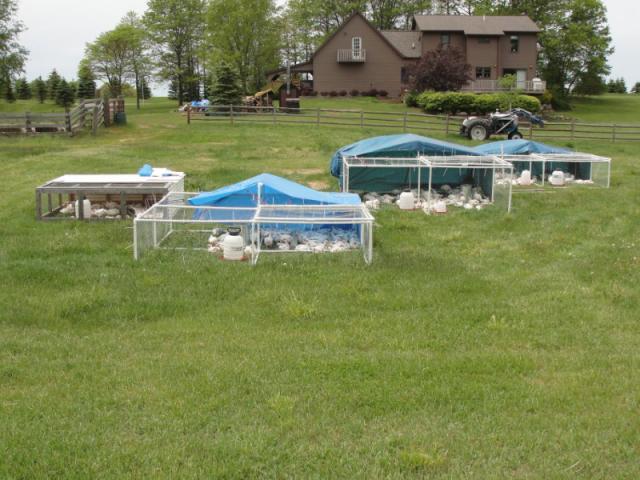 32110_dsc01886_800x600.jpg
