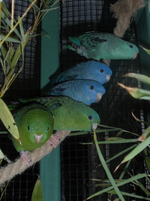 32217_p9210008.jpg