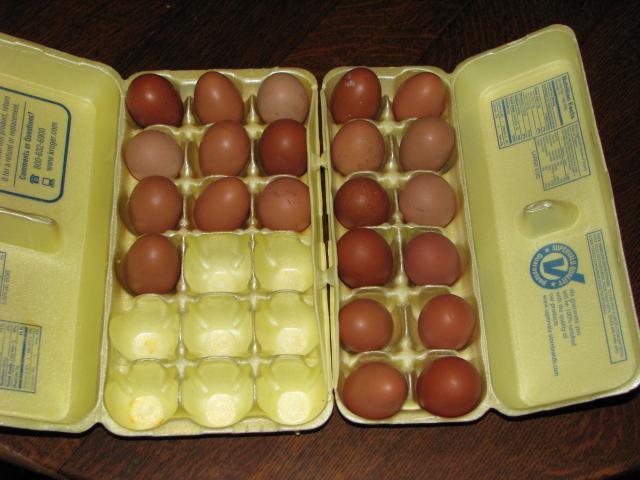 32271_mess-o-eggs.jpg