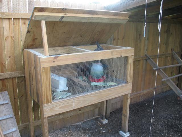 32295_brooder_box_open.jpg