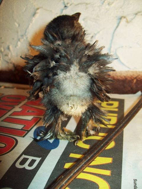 32404_102_1873.jpg
