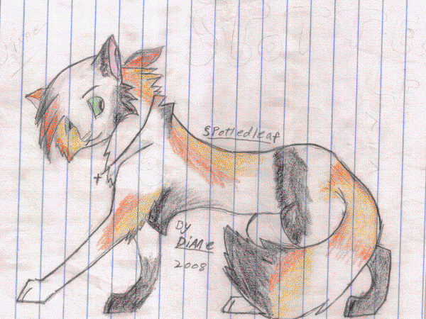 32404_draw6.gif