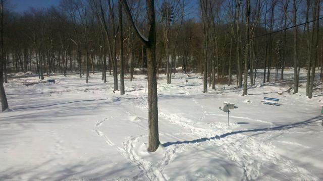 32600_2011-02-22_13-03-32_532.jpg