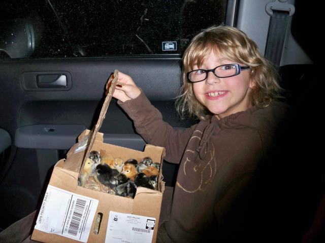 32776_morgan_and_chicks_edited.jpg
