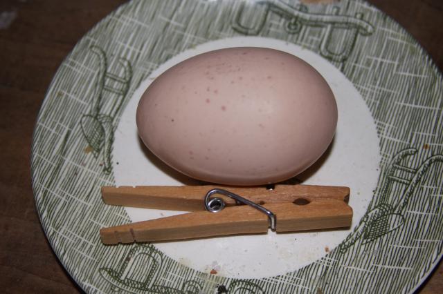 32991_img_1707.jpg