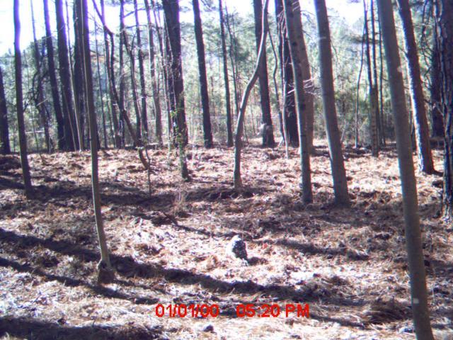 33066_mdgc0020.jpg
