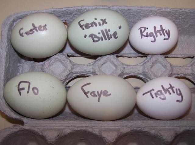 33351_egg_creators_identified_001.jpg