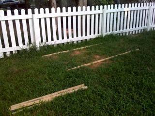33375_photo1.jpg