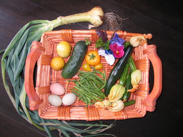 33387_midmorning_july_harvest.jpg