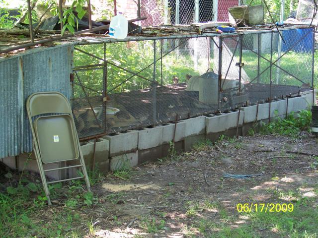 33395_aa1.jpg