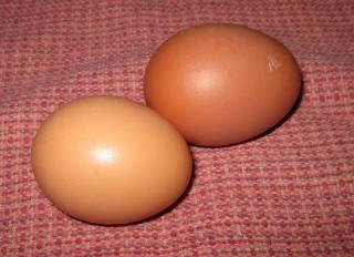 33445_my_first_eggs.jpg