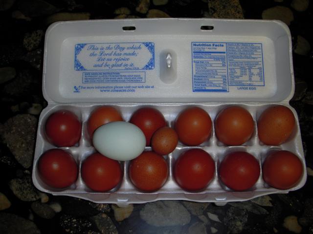 33539_dscn4111.jpg