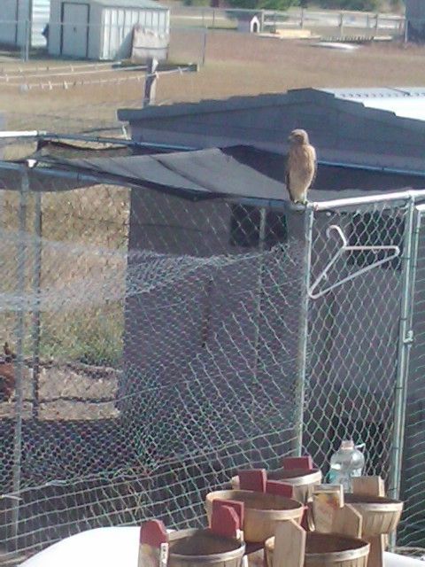 33603_2011-11-01_135422.jpg