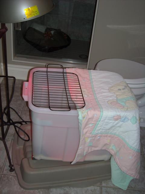 336_dscn0799.jpg