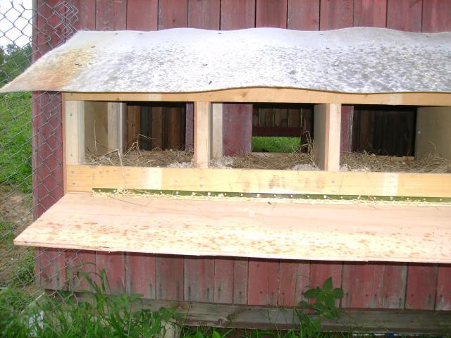 33744_dsc04652.jpg