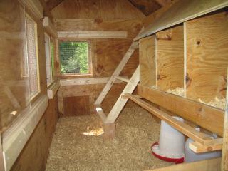 33806_picture_004.jpg
