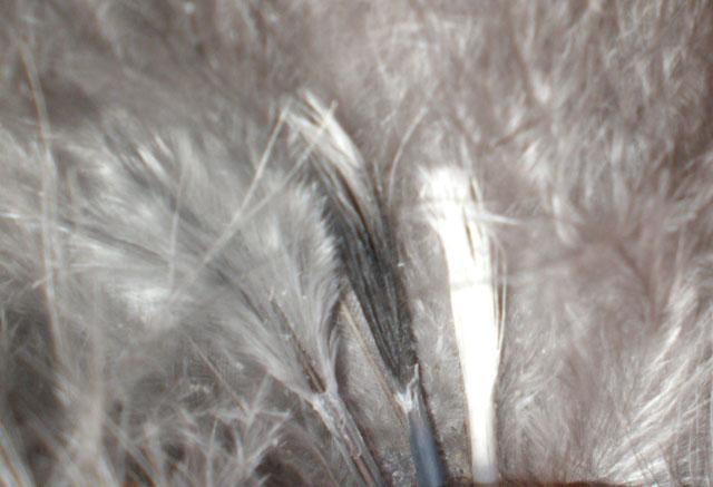 33815_ap1010079.jpg