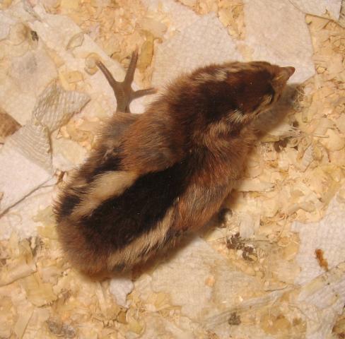 33857_014.jpg