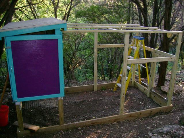 33943_06_06_coop03.jpg