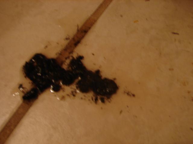 34015_poo_001.jpg