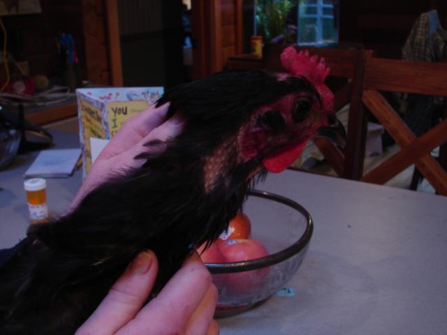 34015_various_ephemera_307.jpg