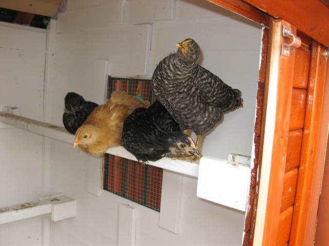 34018_img_2804.jpg