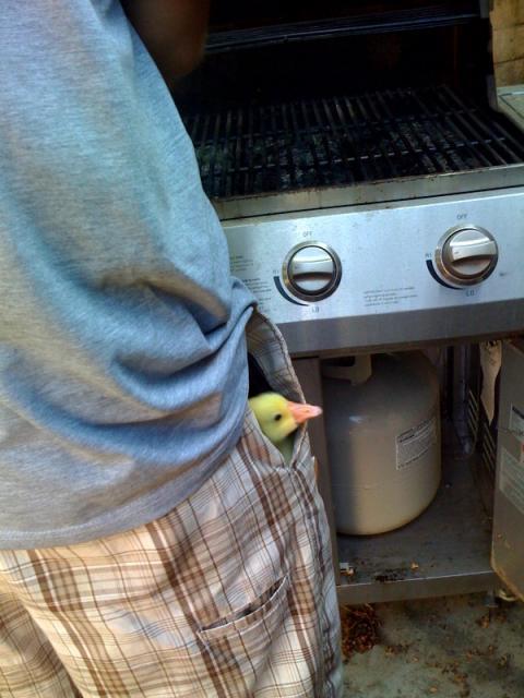 34049_photo2.jpg