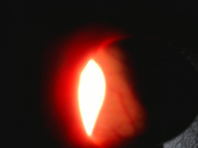 34065_0522111245.jpg