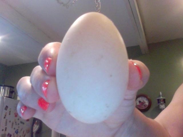 34076_2nd_pic_of_duck_egg.jpg