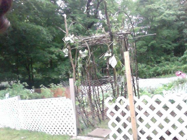 34076_photo_on_2011-06-14_at_1125.jpg