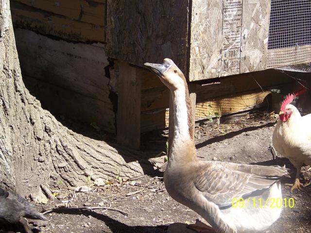 34098_justin_020.jpg