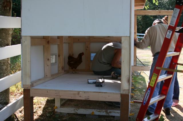 34138_chicken_coop022.jpg