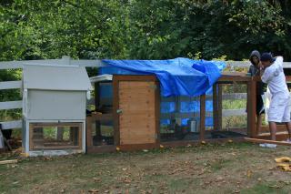 34138_chicken_coop030.jpg