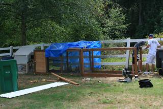 34138_chicken_coop032.jpg