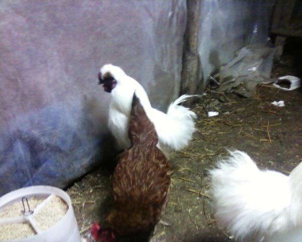 34179_photo-0199.jpg