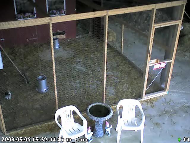 34239_2009_08_coop_cam.jpg