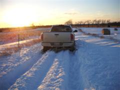 34274_dscn05052537_wince.jpg