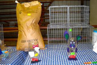 34274_feedcages.jpg