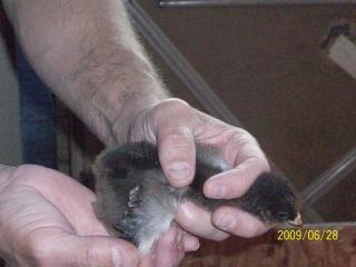 34312_aug08_172.jpg
