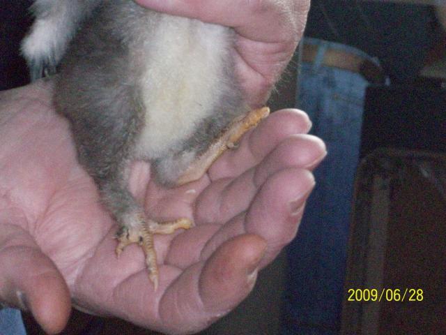34312_aug08_174.jpg