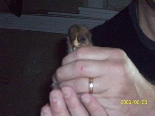 34312_aug08_175.jpg
