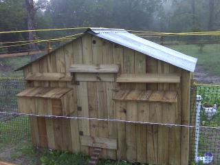 34316_cajun_chicken_coop_1.jpg