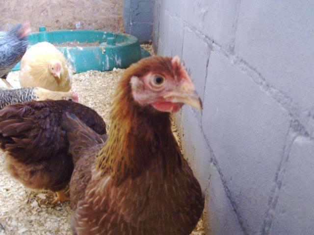 34402_picture_324.jpg