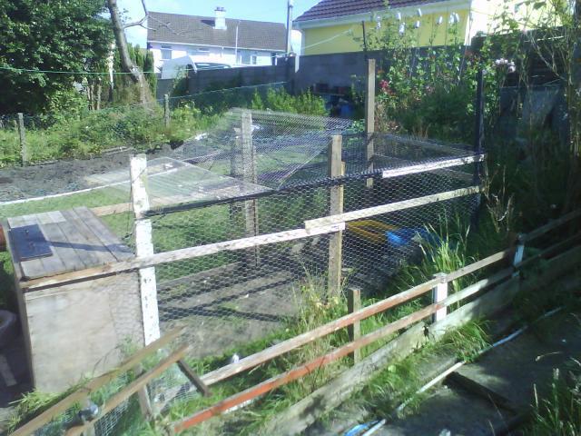 34488_dsc00815.jpg