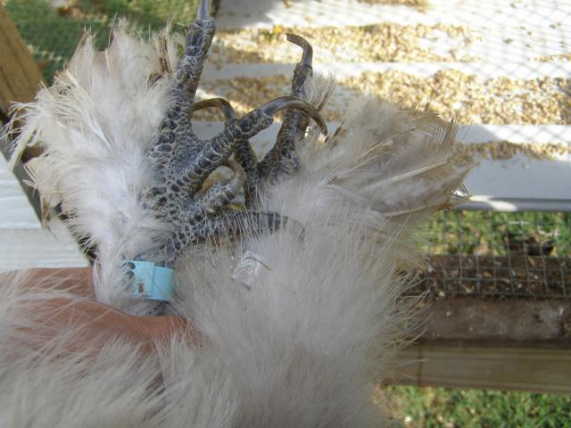 34503_10-31_002.jpg