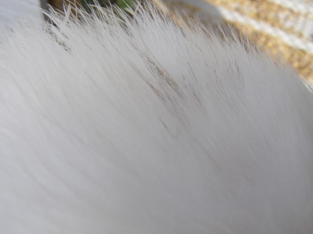 34503_10-31_008.jpg