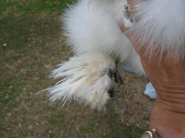 34503_10-31_012.jpg