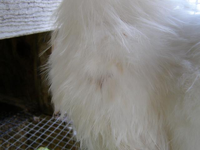 34503_10-31_016.jpg