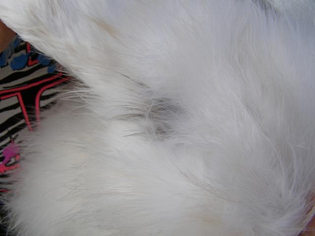 34503_10-31_017.jpg