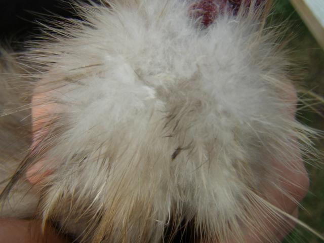 34503_10-31_021.jpg